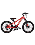 Велосипед 20 Nameless J2100D